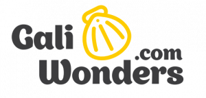 galiwonders-logo-local